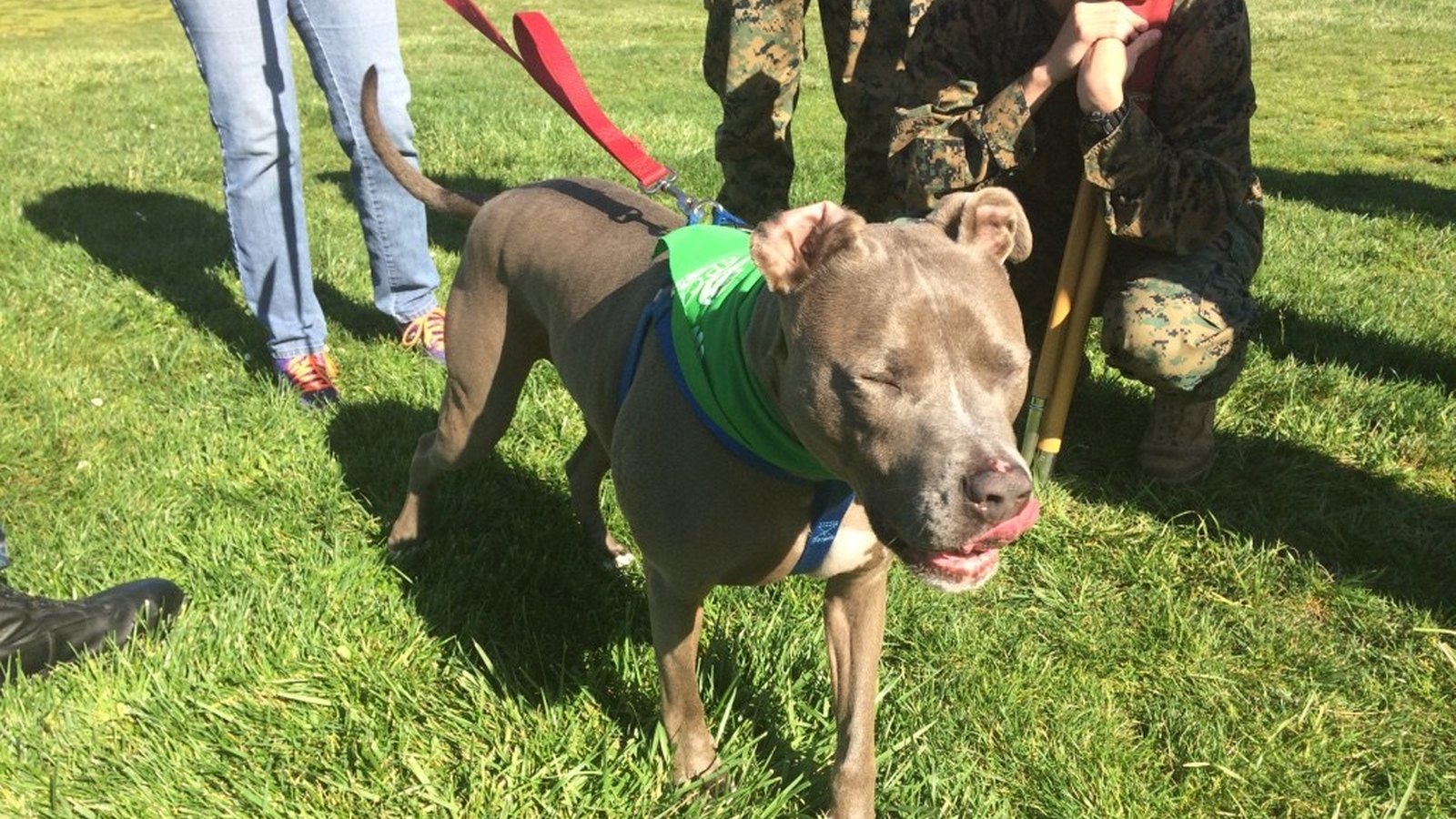 Rescue Care Center
